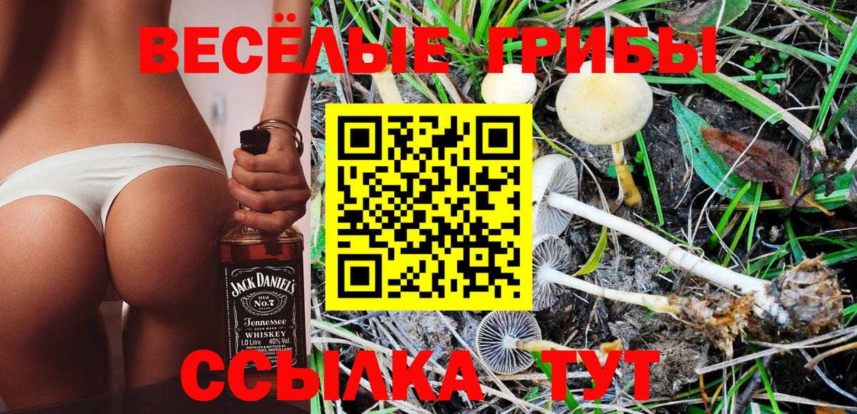 Ейск  продажа наркотиков  Галлюциногенные грибы Psilocybe  Вход с VPN  Псилоцибиновые грибы прущие грибы 